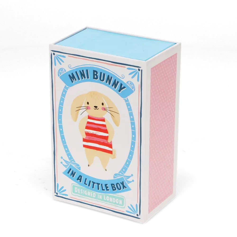 Mini Bunny In A LIttle Box