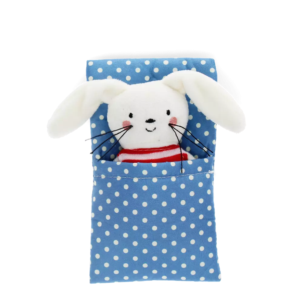 Mini Bunny In A LIttle Box