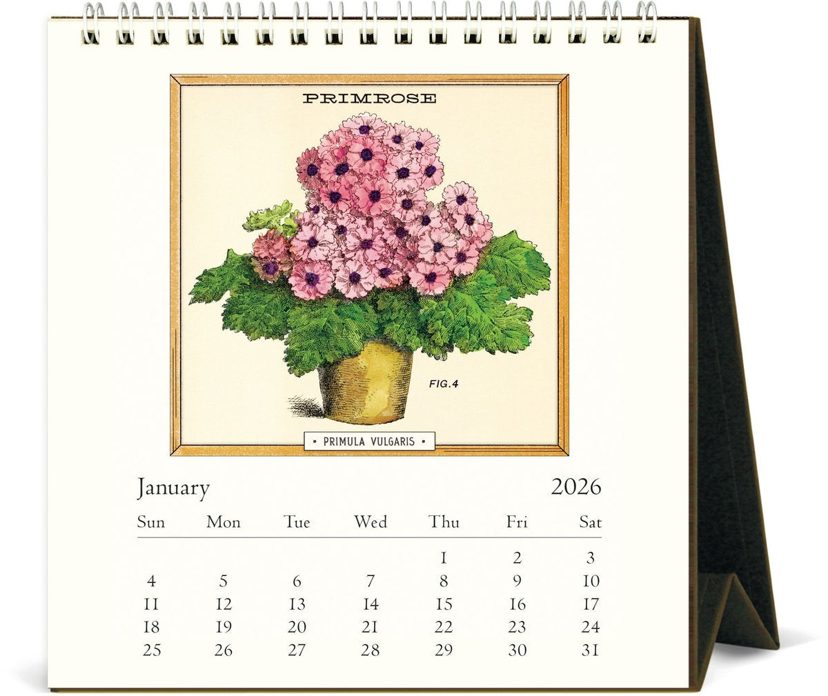 Jardinière Desk Calendar 2026 featuring vintage illustrations of plants and flowers in containers, 12 months of botanical art, 15.2x16.5 cm, desk décor and gift