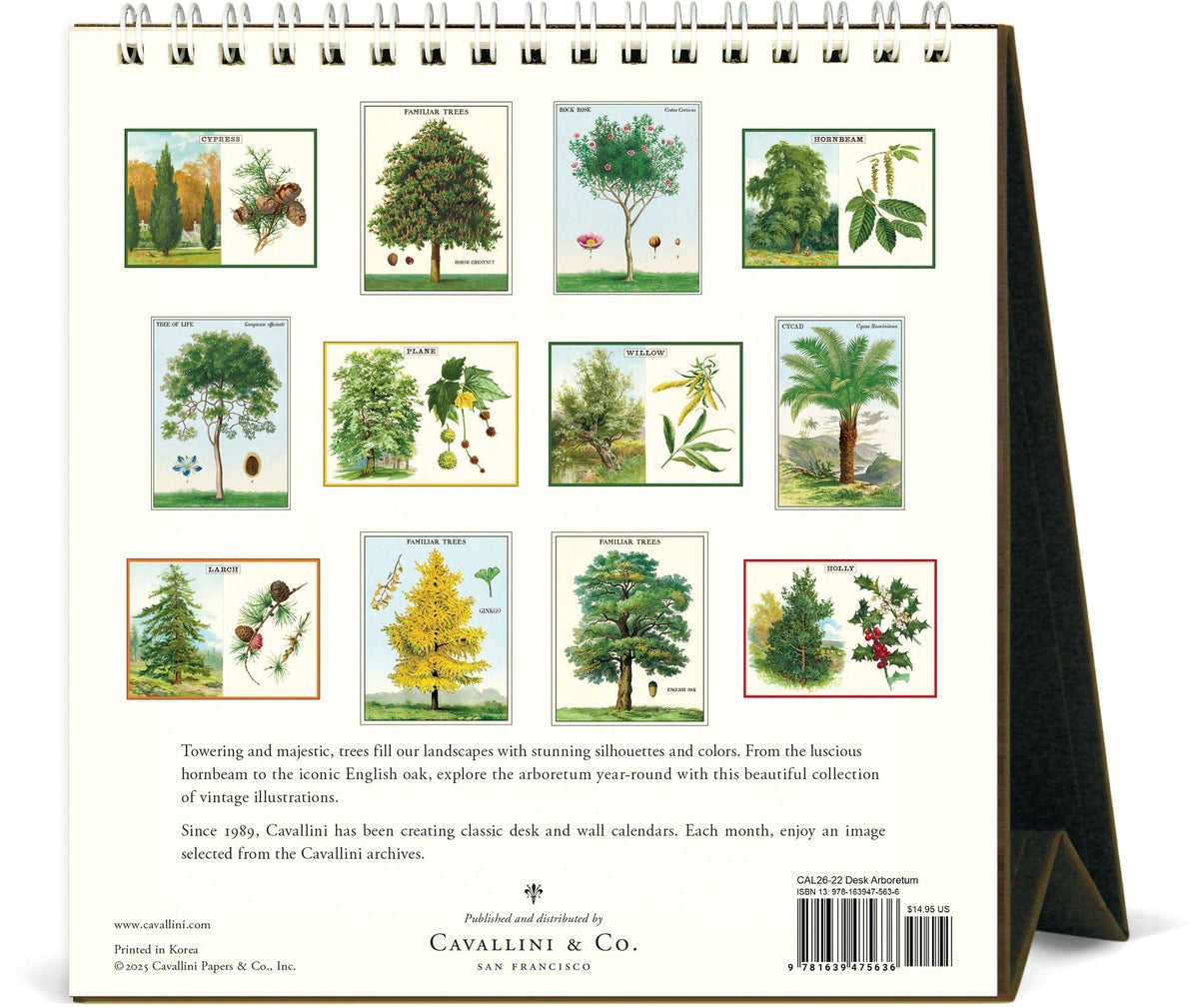Back of the Arboretum Desk Calendar 2026 featuring vintage tree illustrations from Cavallini archives, 12 months of botanical art, 15.2x16.5 cm, nature-inspired desk décor”