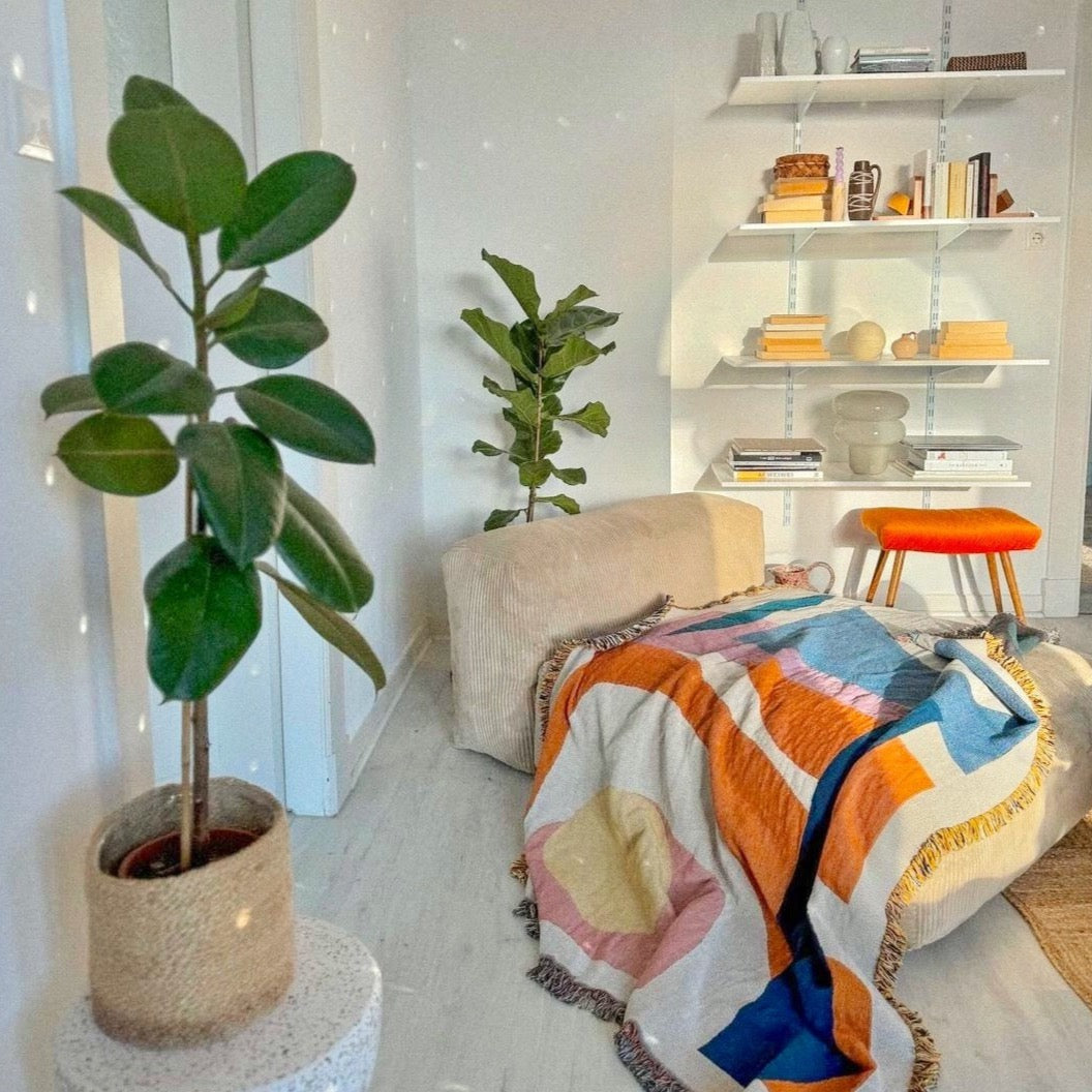 Living room with a colorful blanket on a sofa, potted plant, and shelves with decor items.