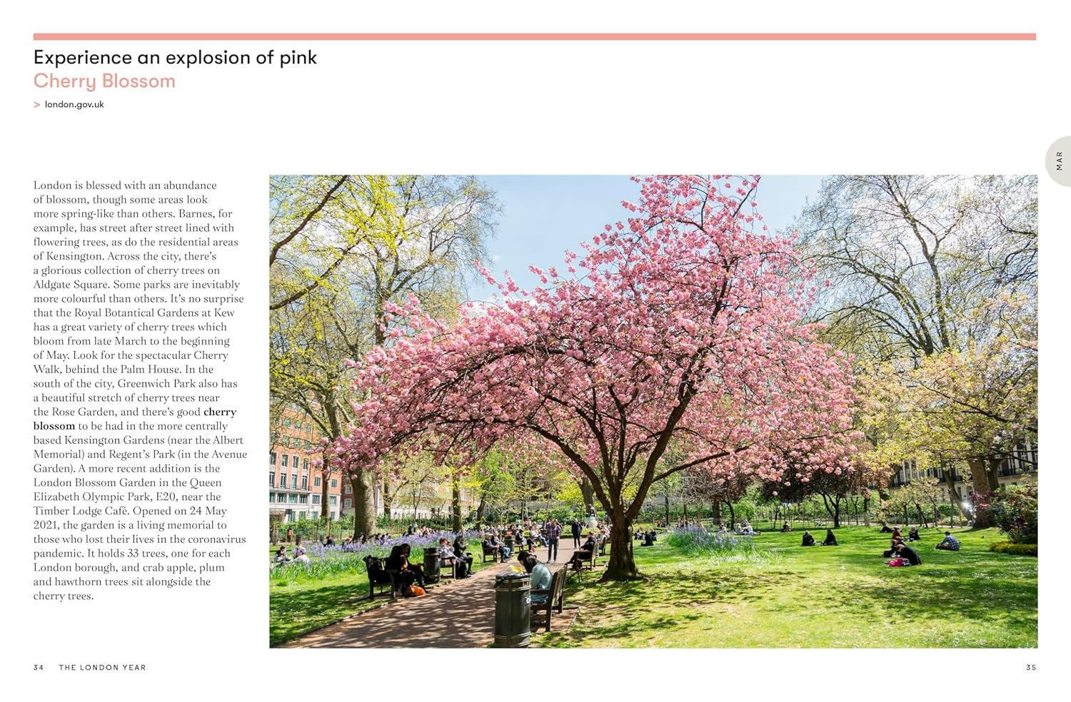 The London Year - What To Do and When