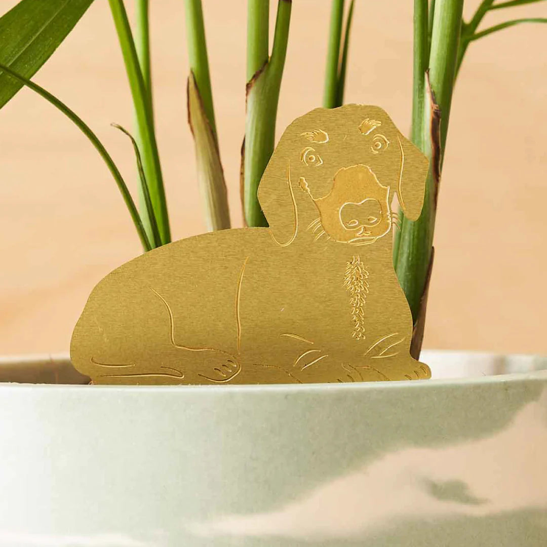 Plant Animals - Decorations For Your Plant Pots