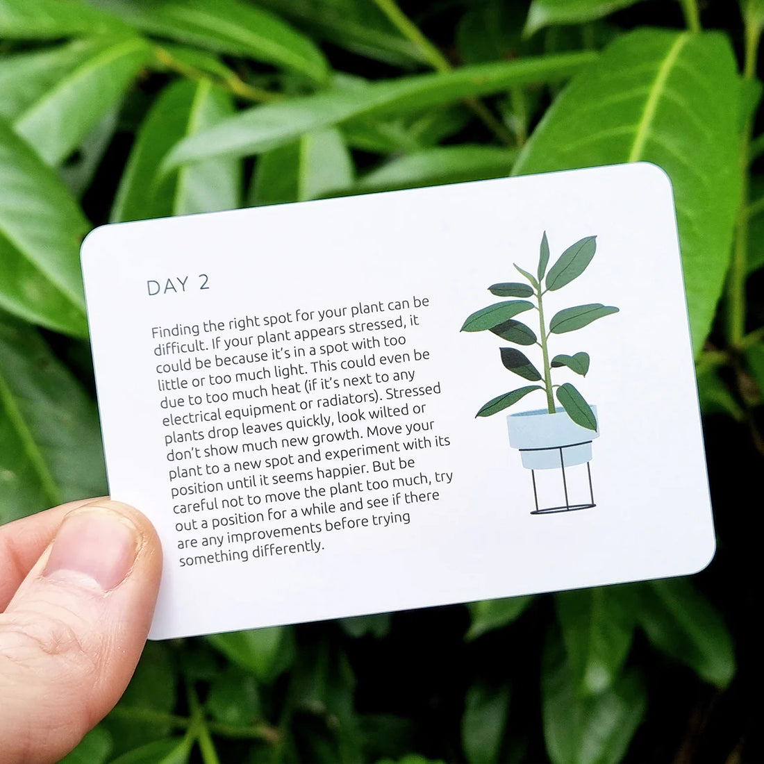 Became An Expert In Plants in 90 Days