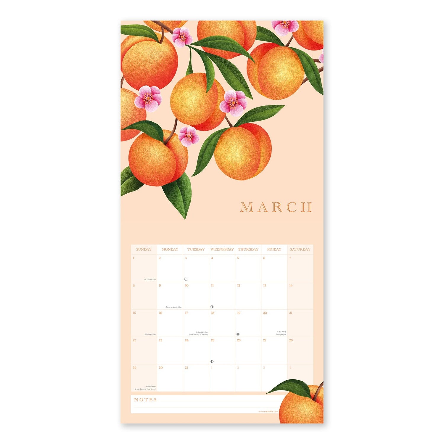 Homegrown Calendar 2026 with peach design and &