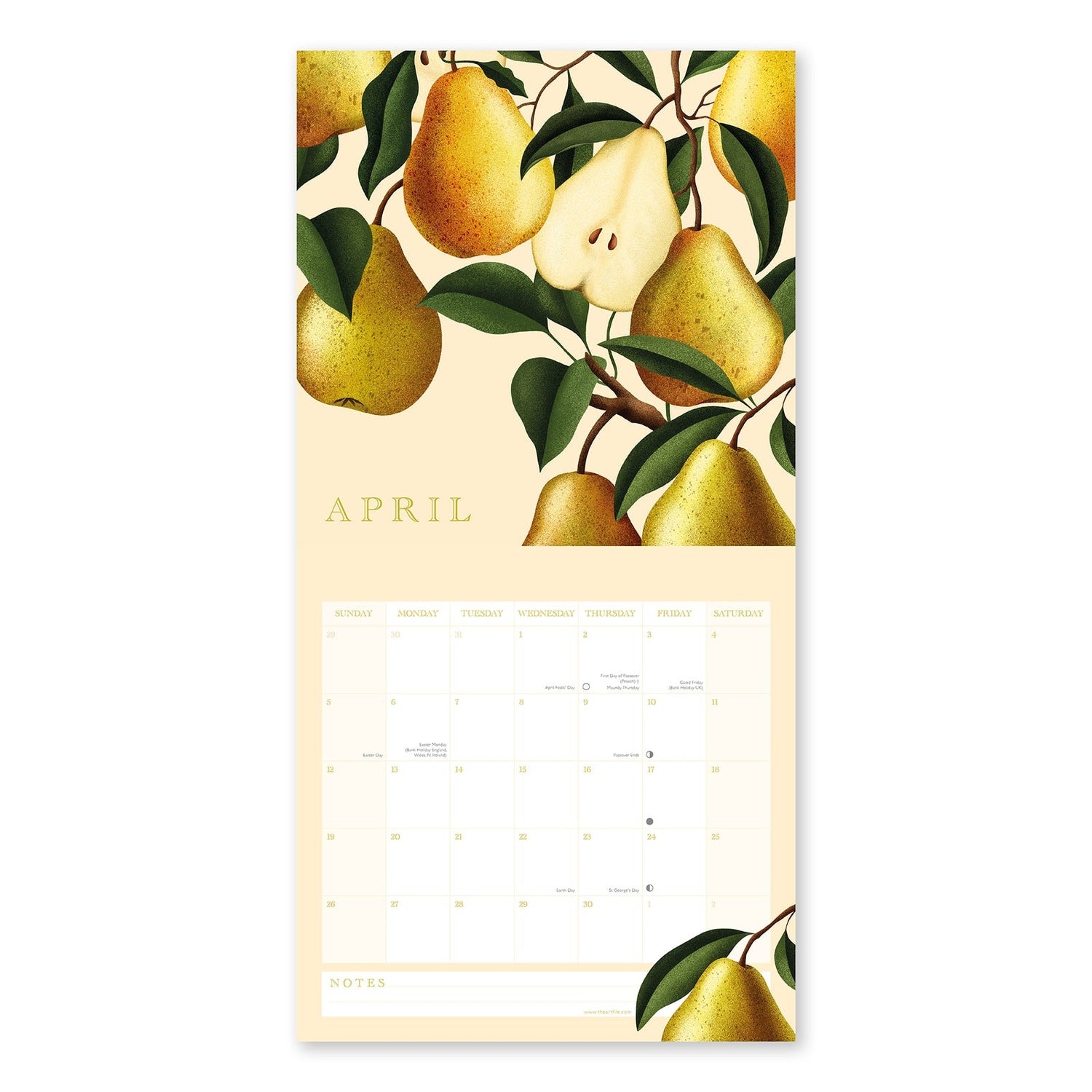 Homegrown Calendar 2026 open to April with a design of pears