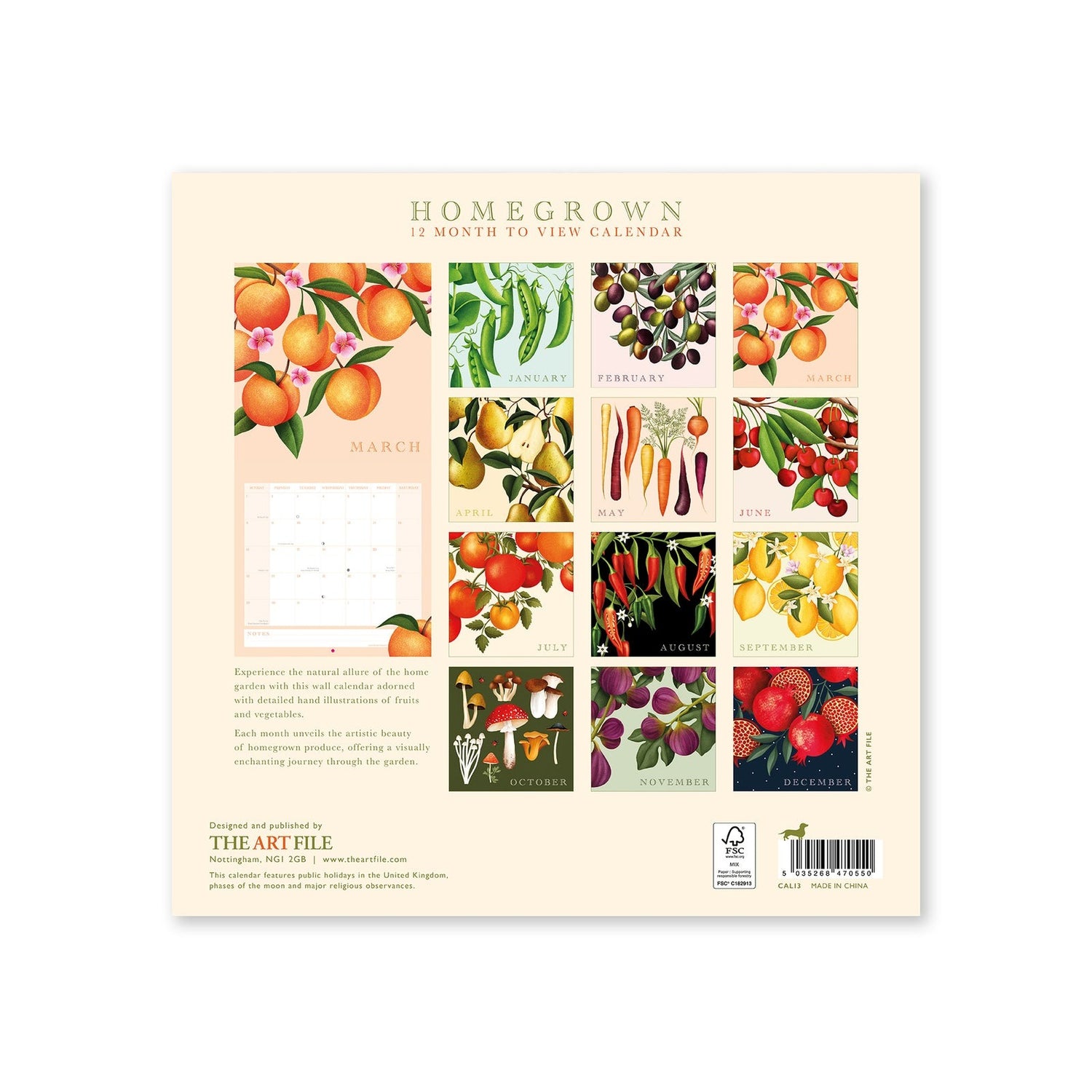 Back View of the Homegrown Wall Calendar 2026 featuring 12 months of hand-drawn fruits and vegetables illustrations, perfect for home, office, and garden lovers
