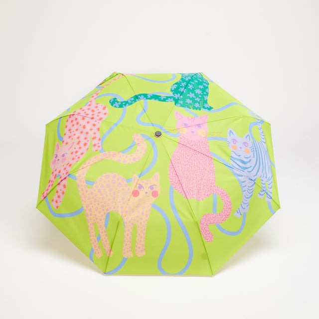 Colorful umbrella with cat pattern on a white background