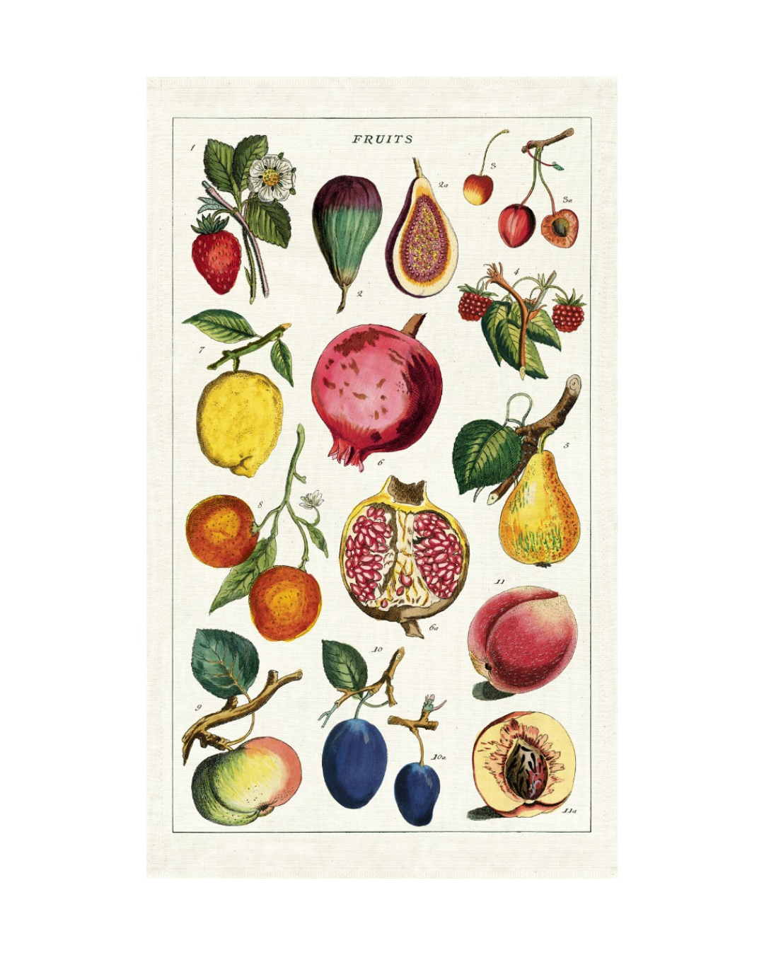 Fruit Vintage Tea Towel made of 100% cotton, featuring vintage Cavallini fruit illustrations, soft and absorbent, with hanging loop and muslin bag packaging.