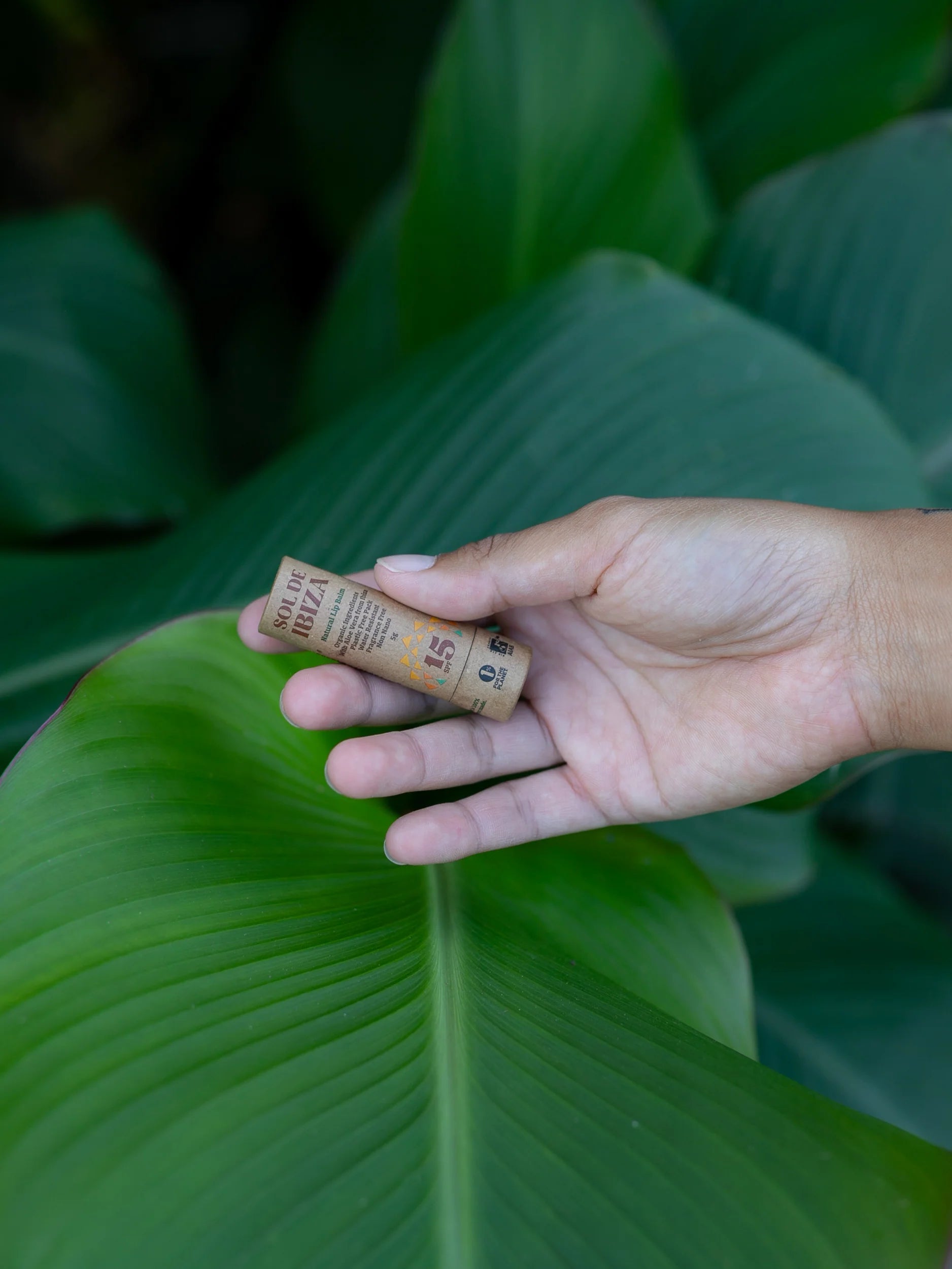 Hand holding the Sol De Ibiza Lip Balm SPF15 against a green leaf background