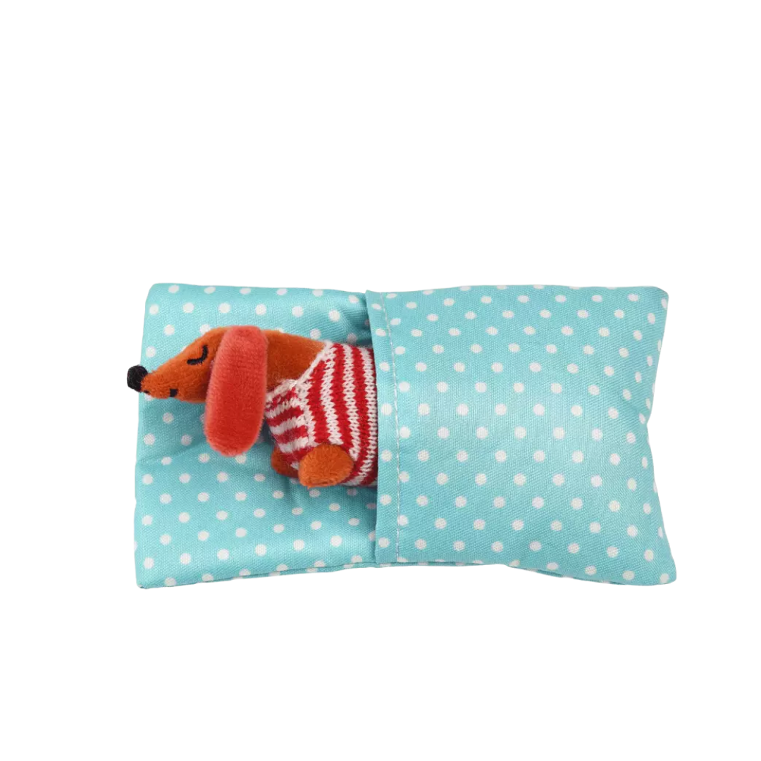 Mini Sausage Dog In A Box