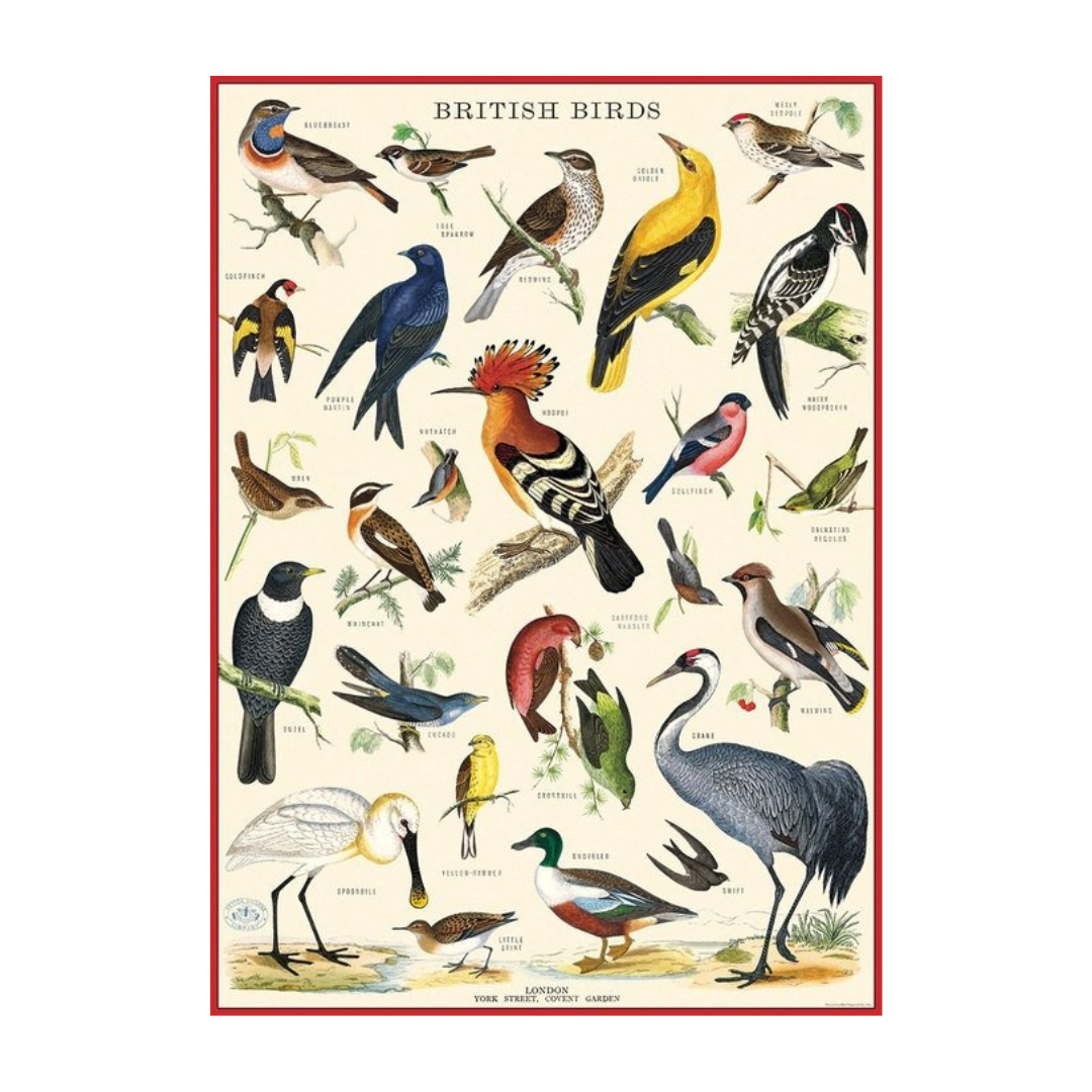 British Birds Poster