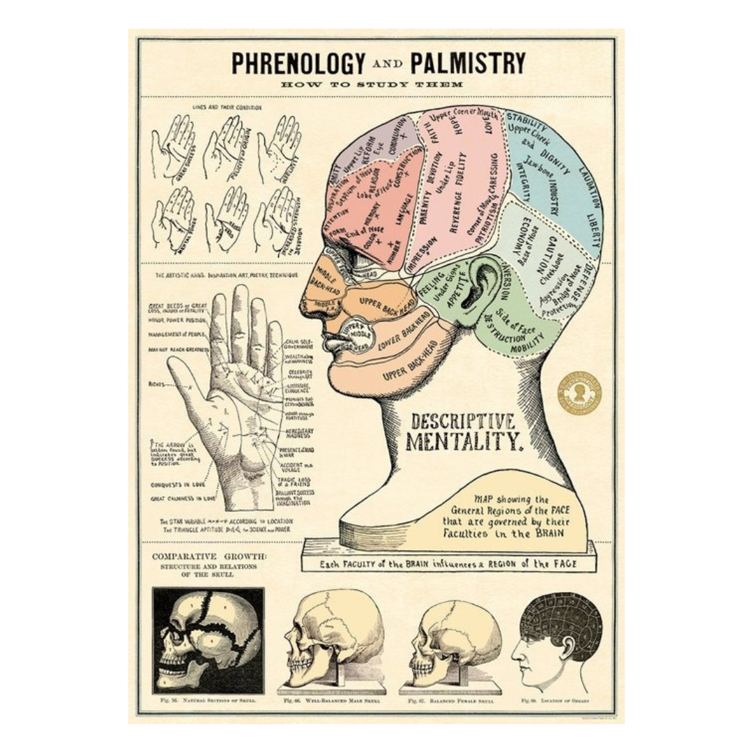 Phronology &amp; Palmistry Poster