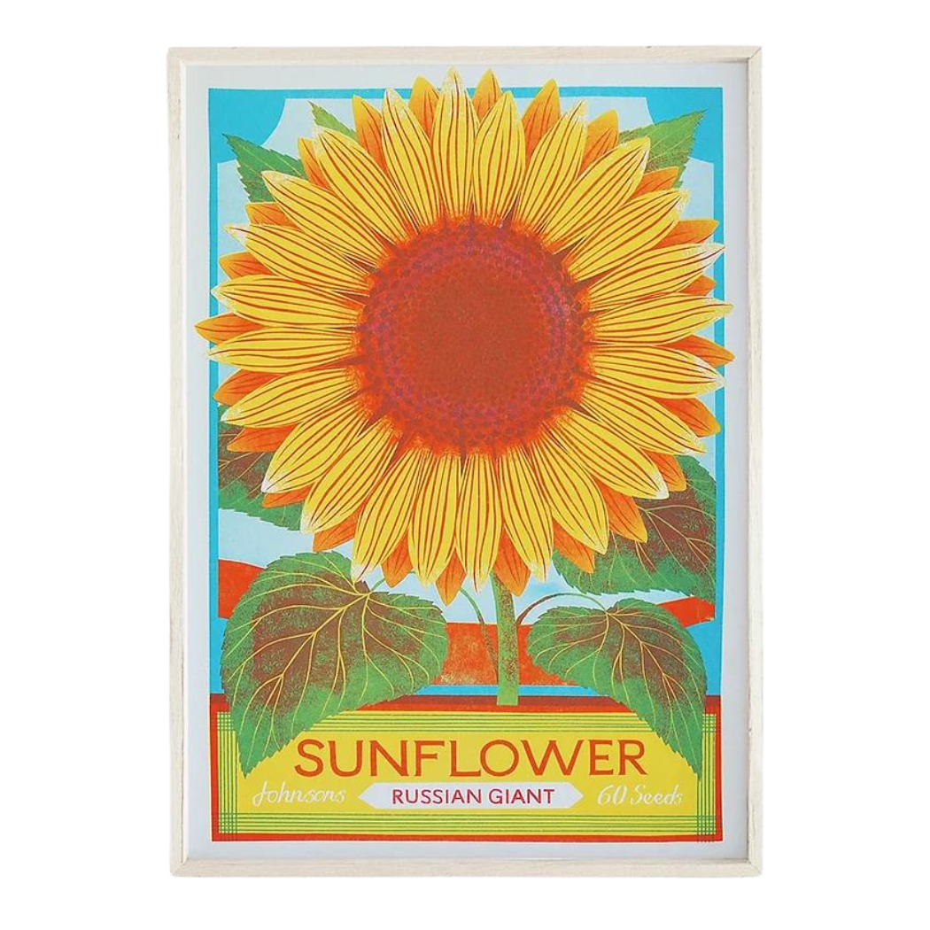 Sunflower A3 Risograph Unframed Print