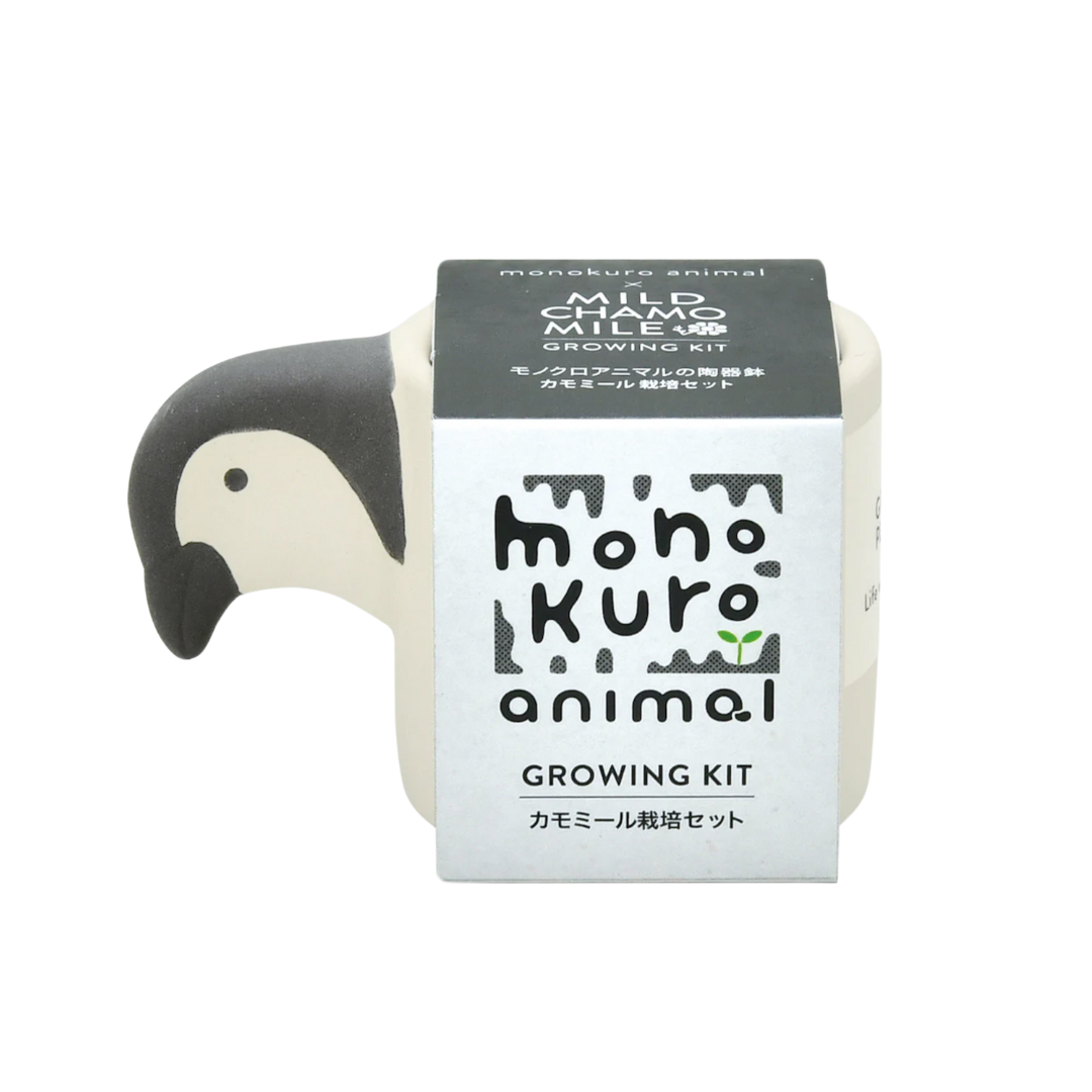 Monokuro Penguin Mild Chamomile
Growing Kit