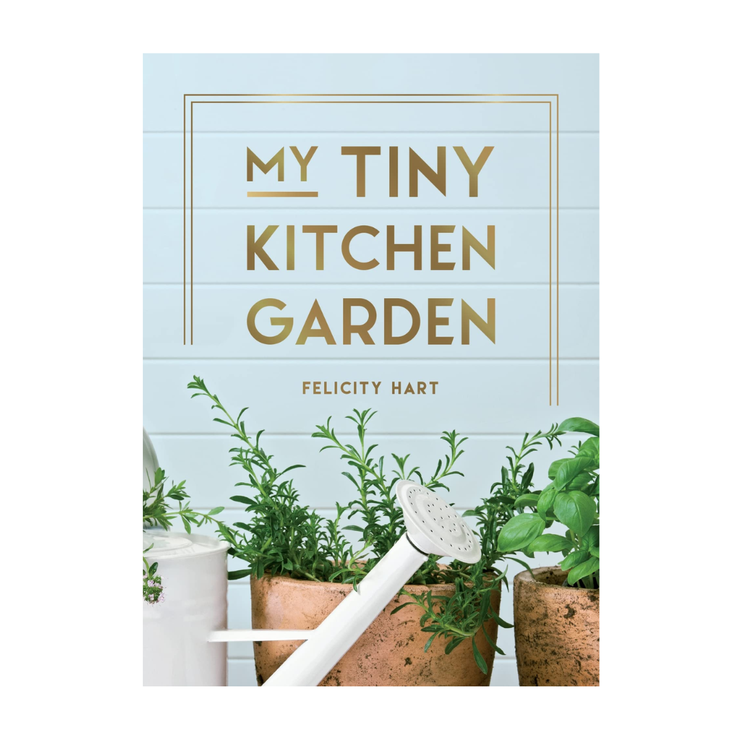 My Tiny Kitchen Garden