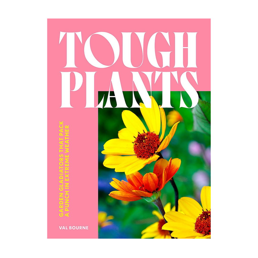 Tough Plants