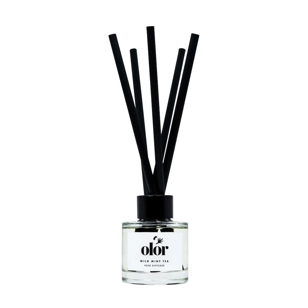Wild Mint Tea Mini Diffuser 120 ml