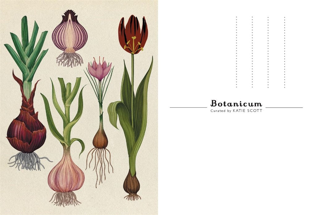 Botanicum Postcards