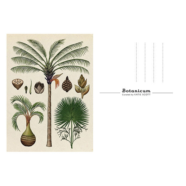 Botanicum Postcards