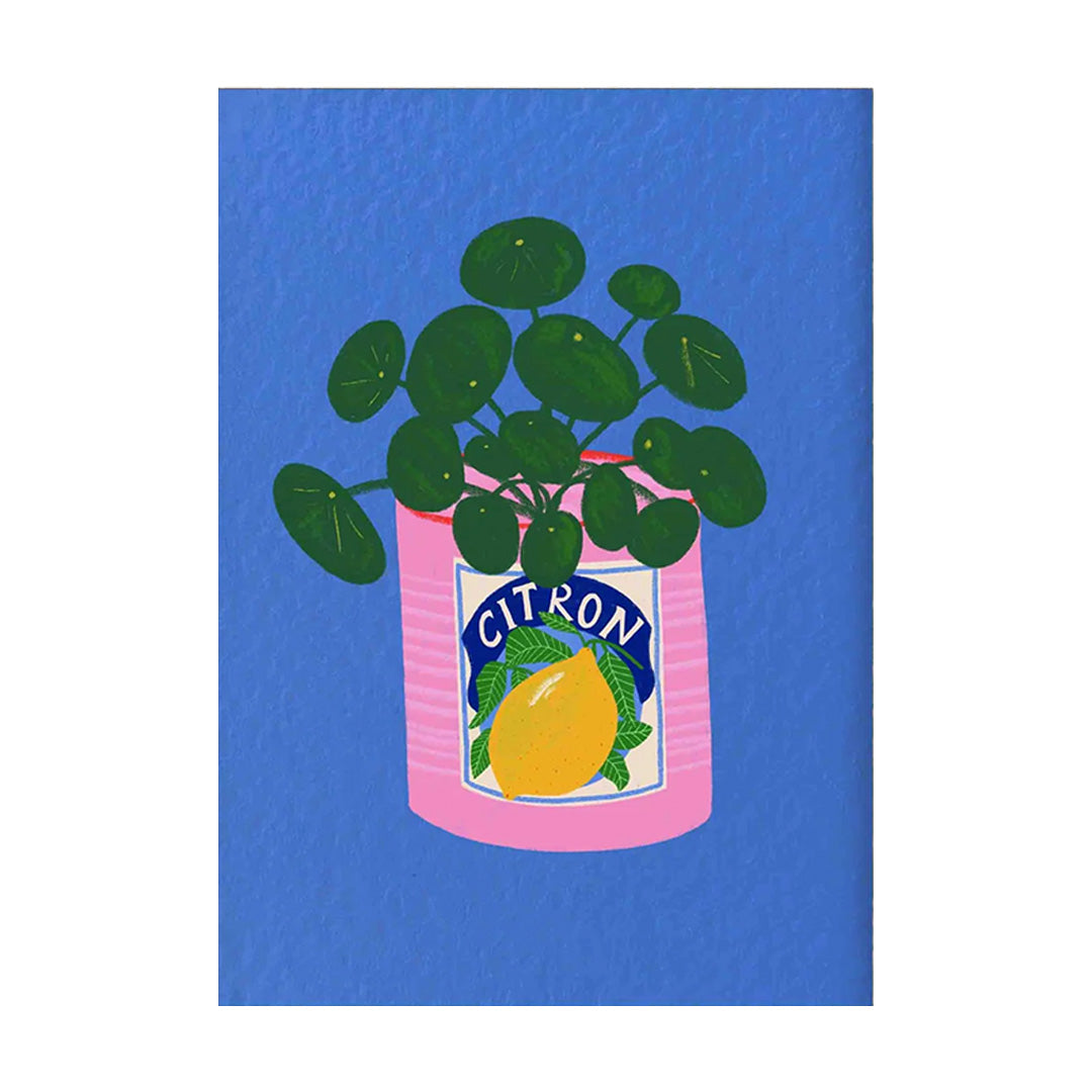 Money PLant & Citron pink Tin A3 Print