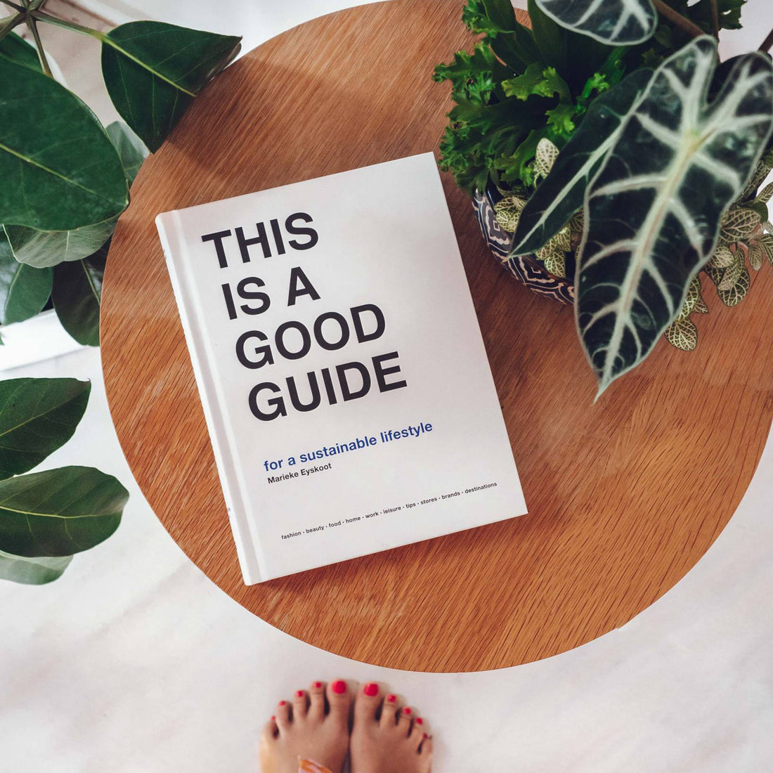 This is a good guide book