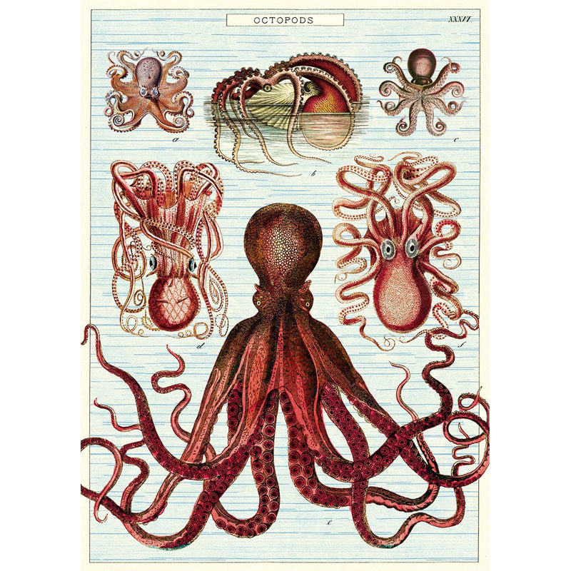 Octopods Poster