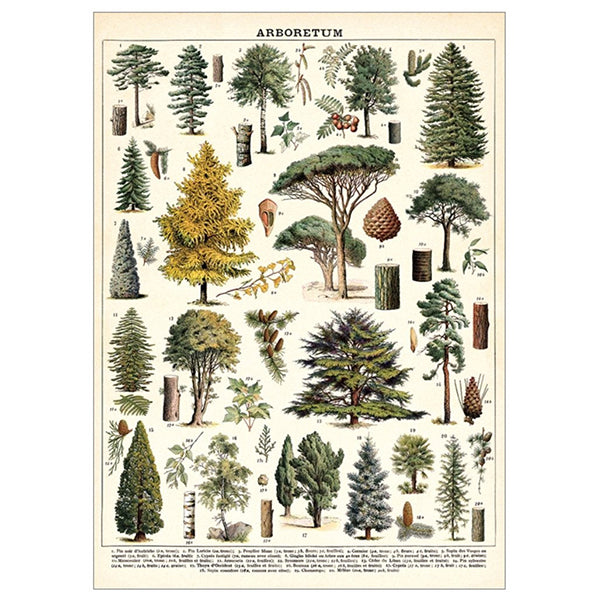 Arboretum Poster