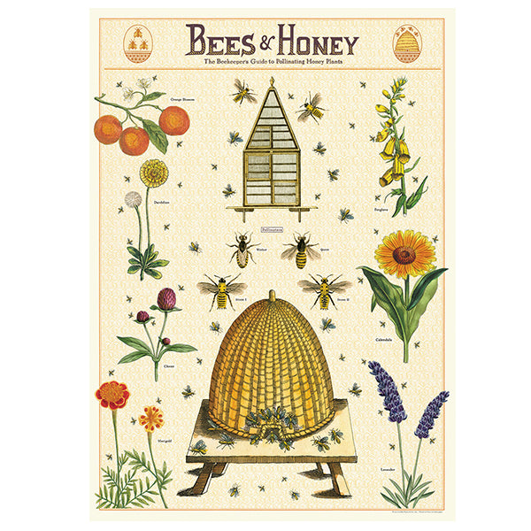 Bees & Honey Poster
