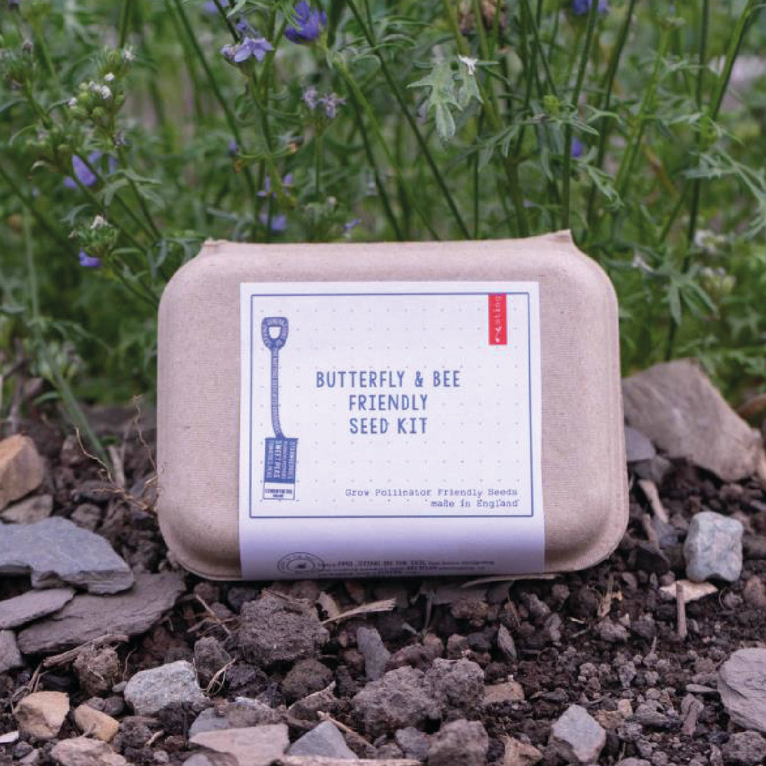 Butterfly & Bee Friendly Seed Kit