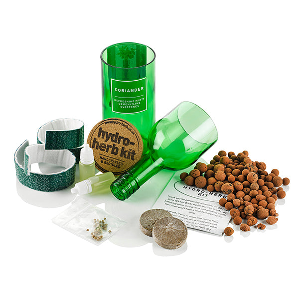 Coriander - Hydro-Herb Kit