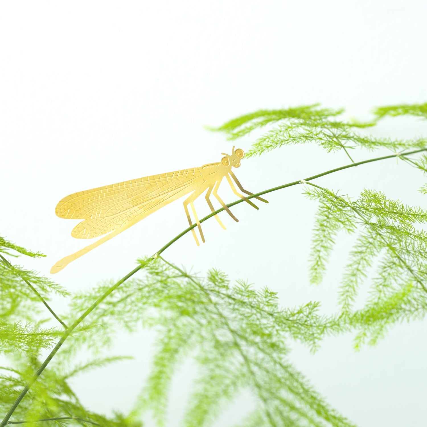 Damselfly golden plant animal