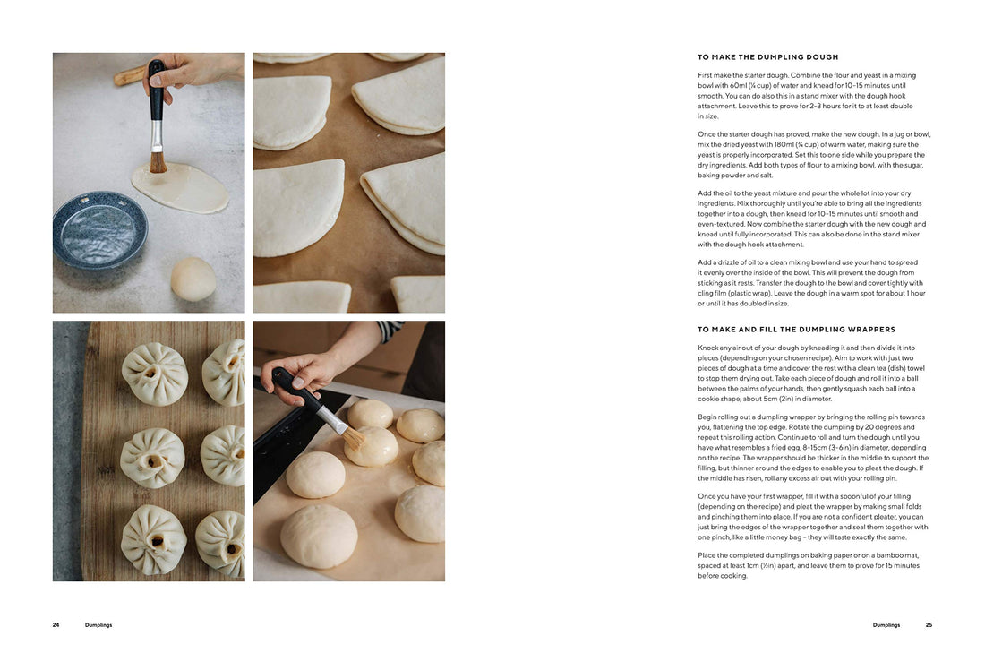 Dumplings and Noodles Book