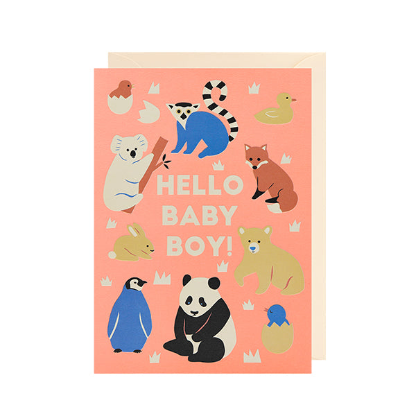 Hello Baby Boy Card