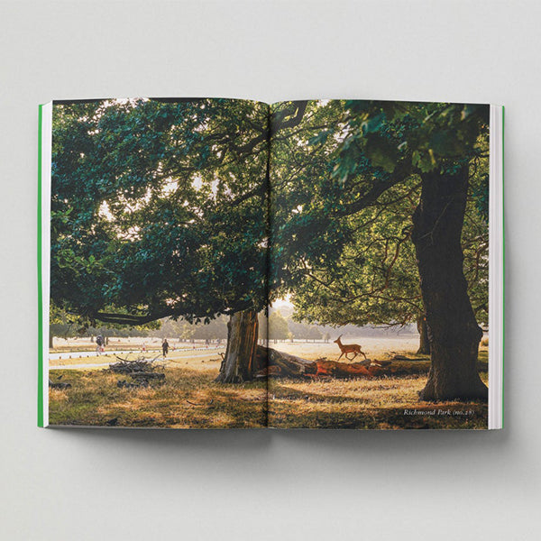 The Garden apothecary