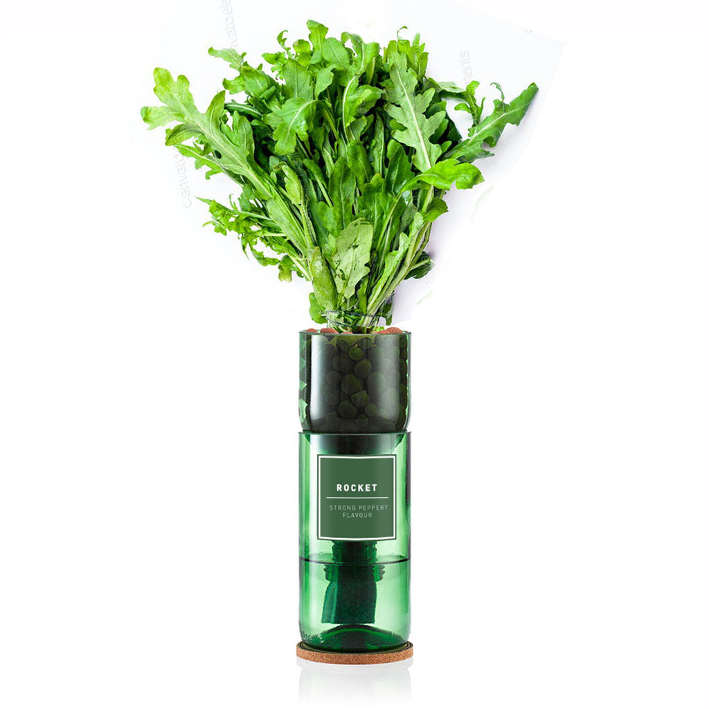 Rocket - Hydro-Herb Kit