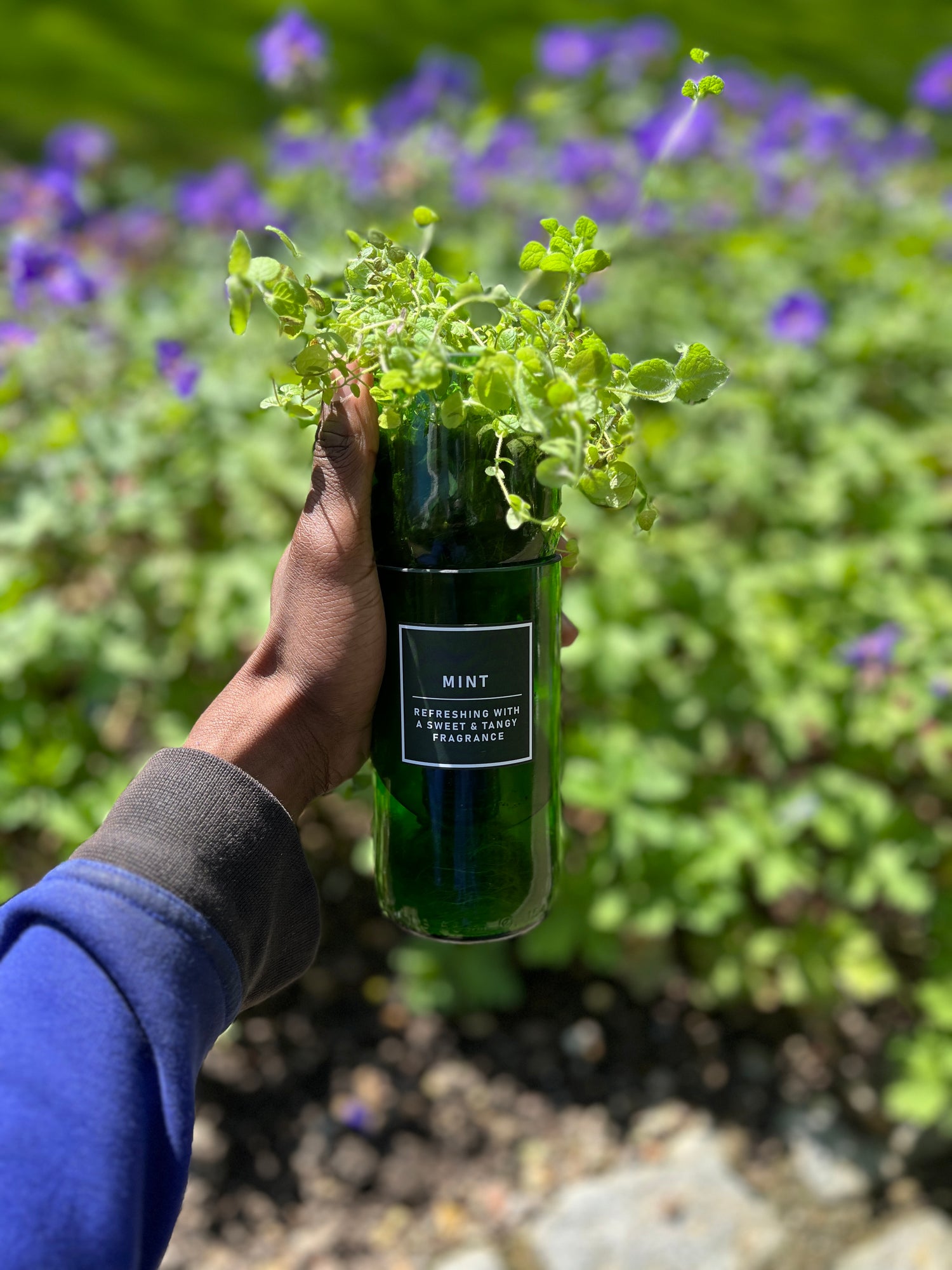 PLANT ACCESSORIES &amp; GROWING KITS