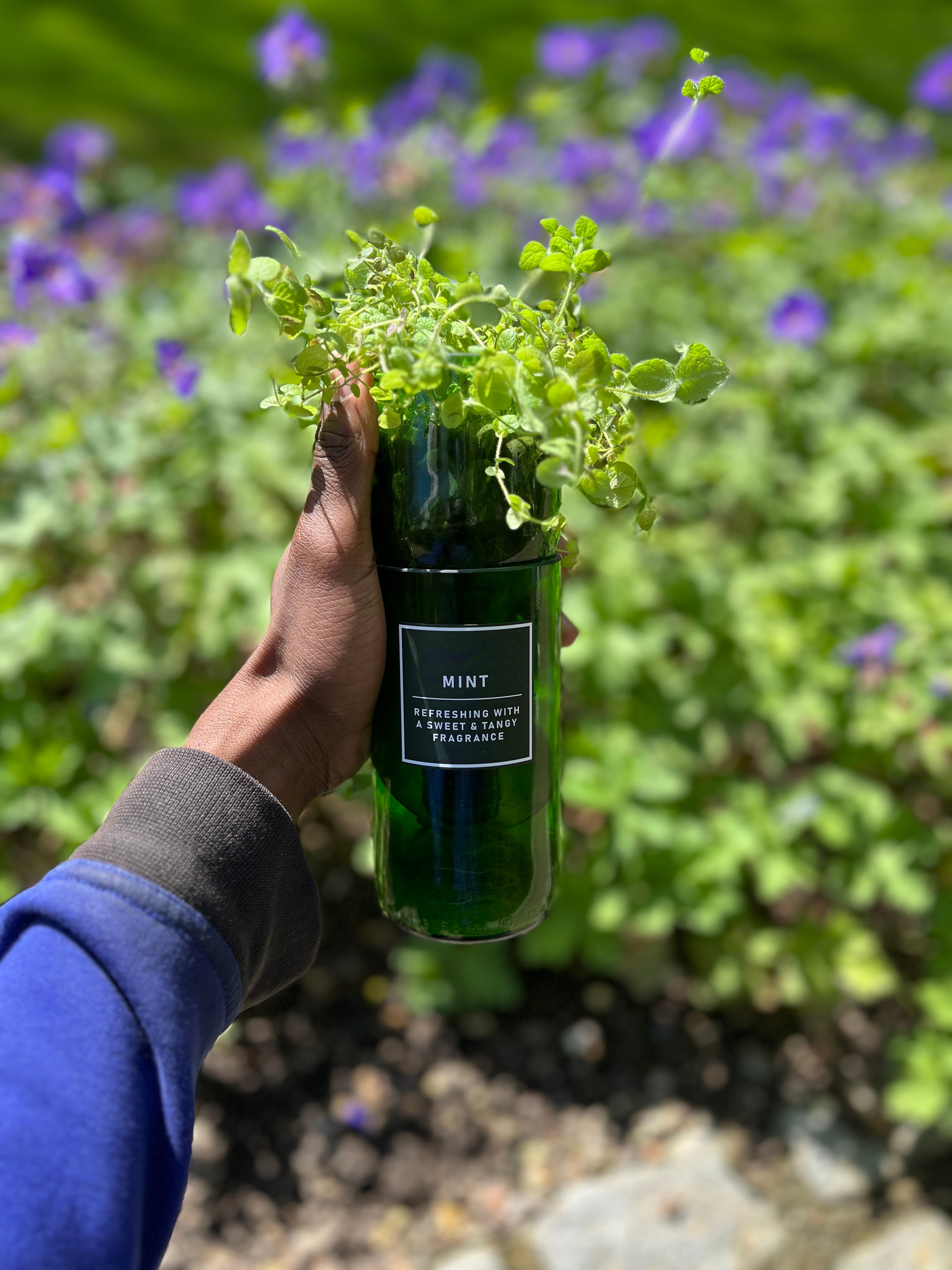 PLANT ACCESSORIES & GROWING KITS