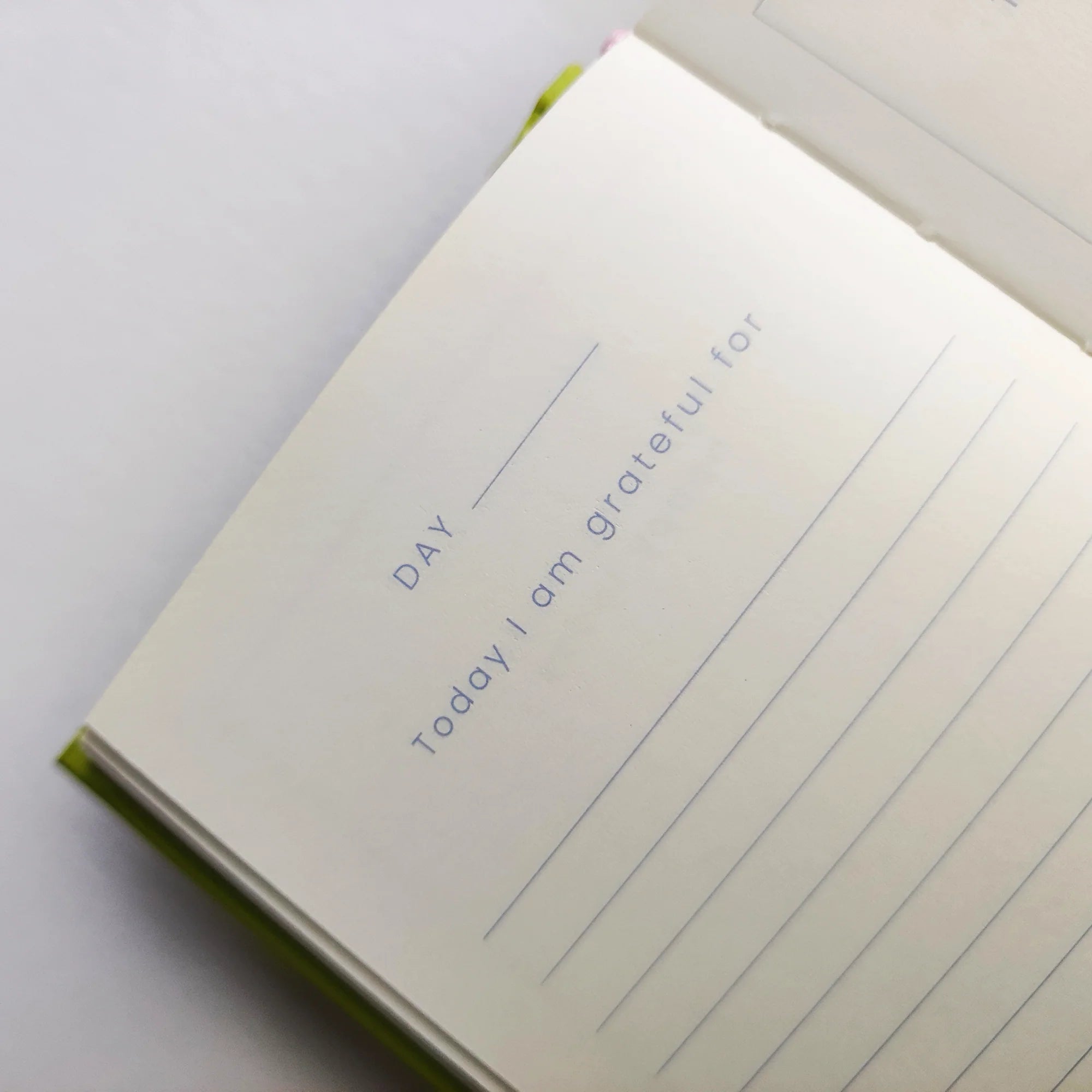 Petalscape Mini Happiness Journal