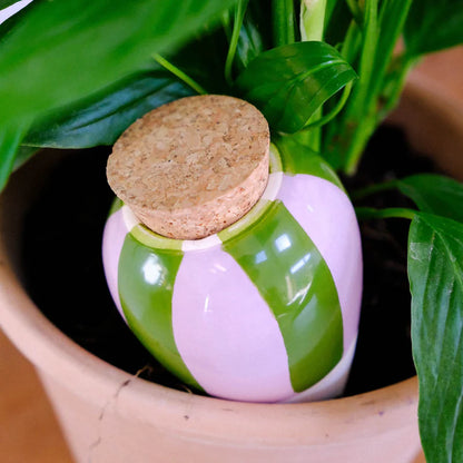 Olla Ceramic Plant Watering Vessel