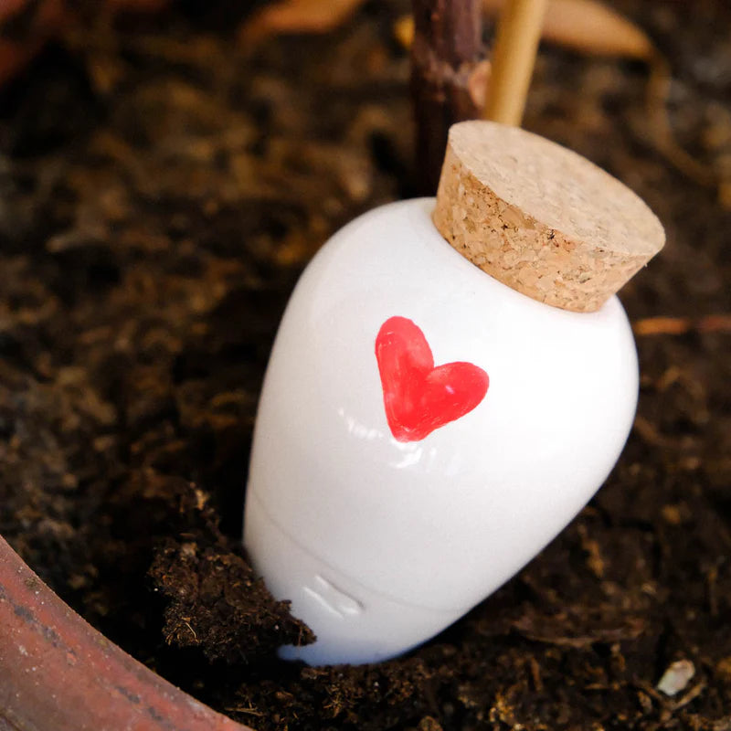 Olla Ceramic Plant Watering Vessel