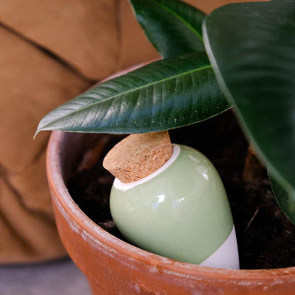 Olla Ceramic Plant Watering Vessel