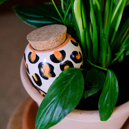 Olla Ceramic Plant Watering Vessel