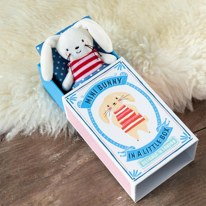 Mini Bunny In A LIttle Box