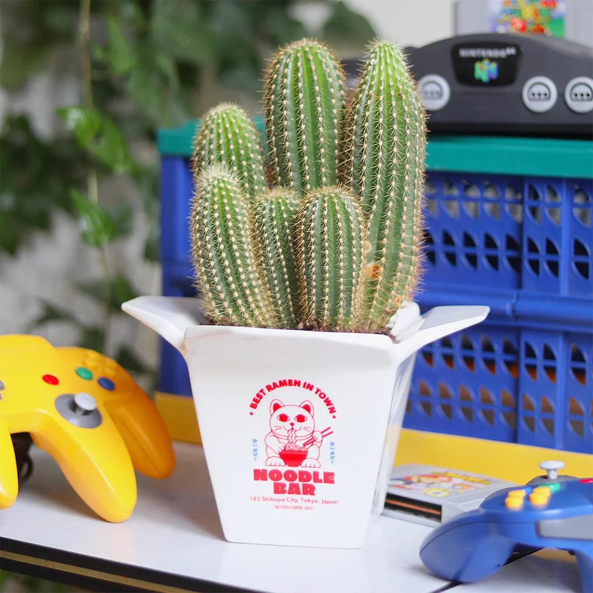 Vase Ramen Plant Pot with cactus