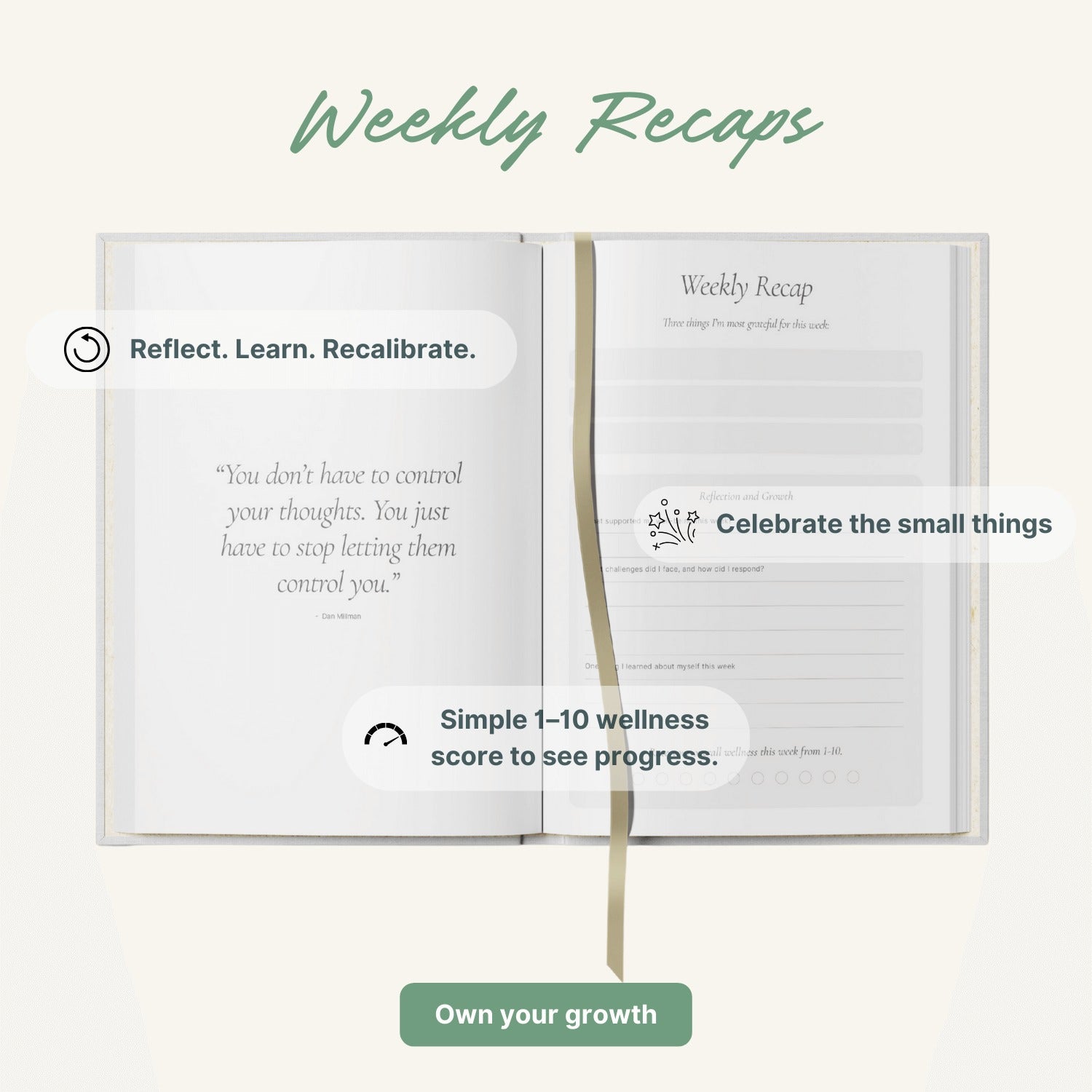 Red &amp; Pink Stripes Wellness Journal