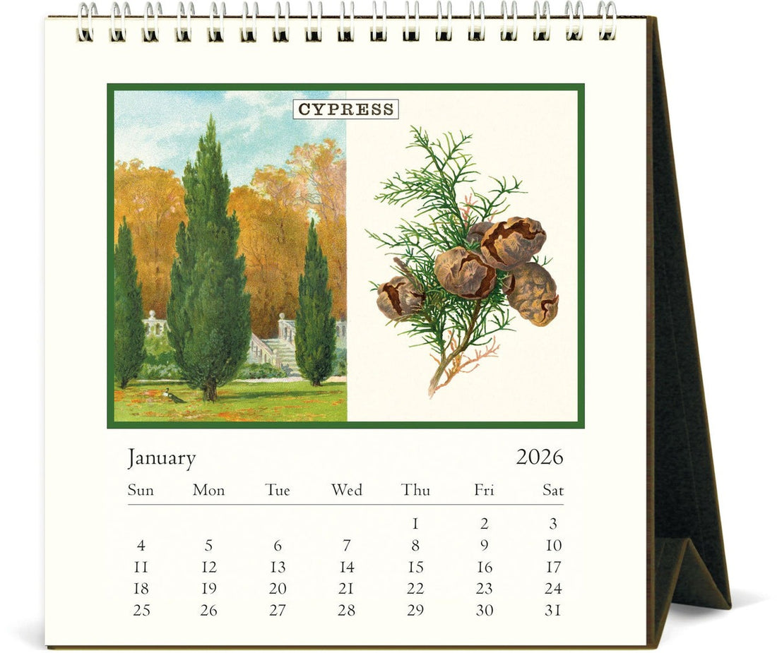 Calendar for January 2026 featuring a cypress tree illustration and landscape.