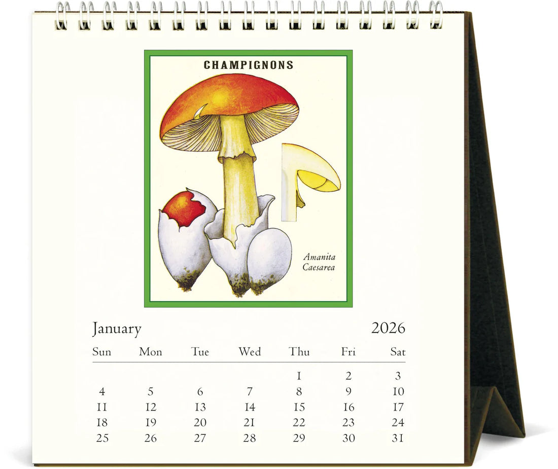 Calendar for January 2026 with mushroom illustration on a white background