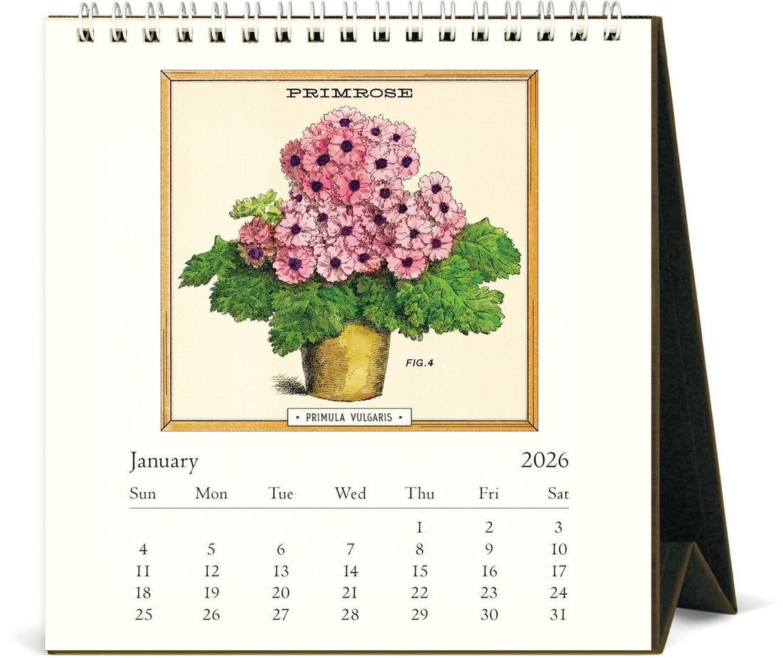 Jardinière Desk Calendar 2026 featuring vintage illustrations of plants and flowers in containers, 12 months of botanical art, 15.2x16.5 cm, desk décor and gift