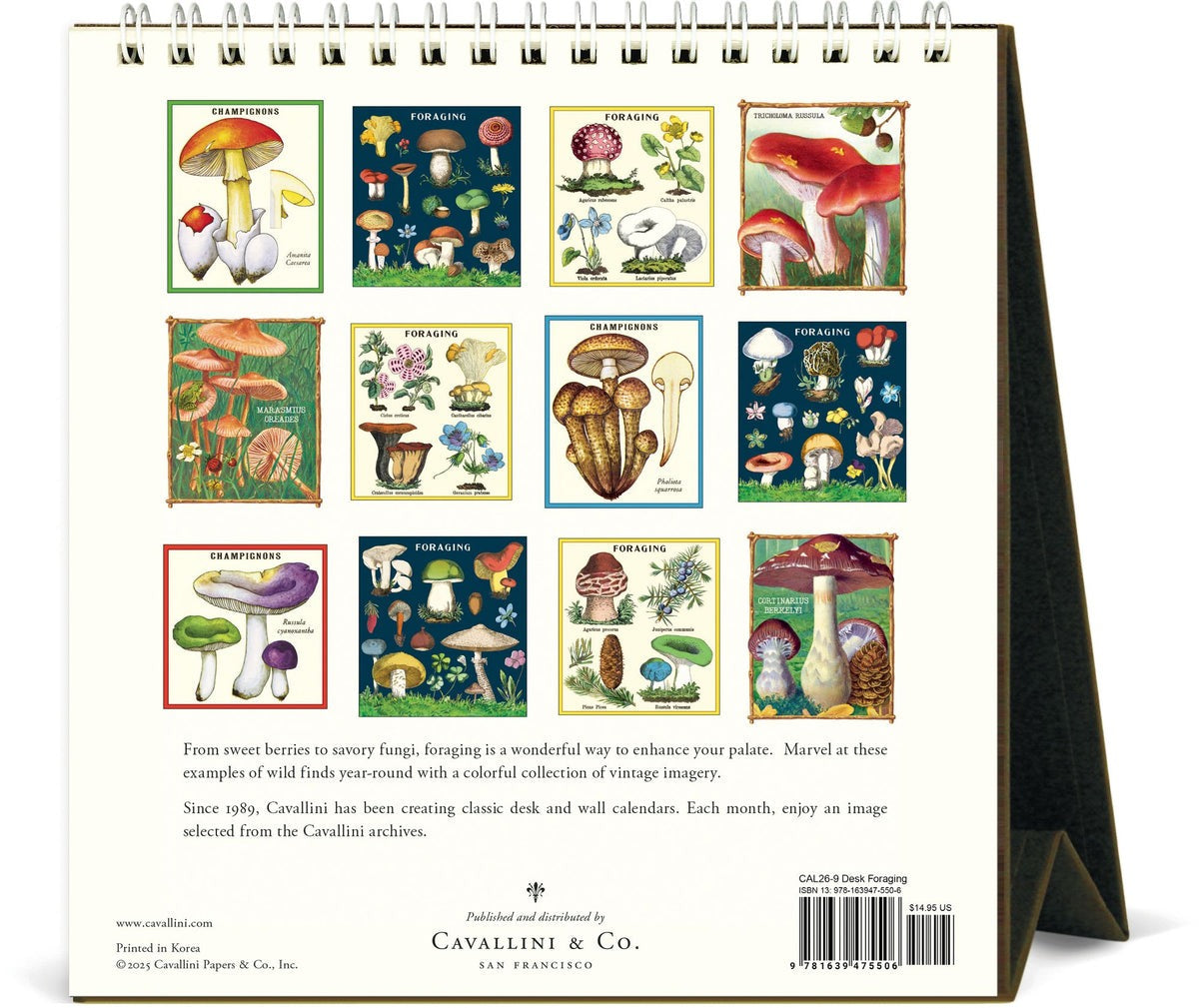 Back view of the Foraging Desk Calendar 2026 featuring vintage foraging illustrations from Cavallini archives, 12 months of botanical art, 15.2x16.5 cm, nature-inspired desk décor
